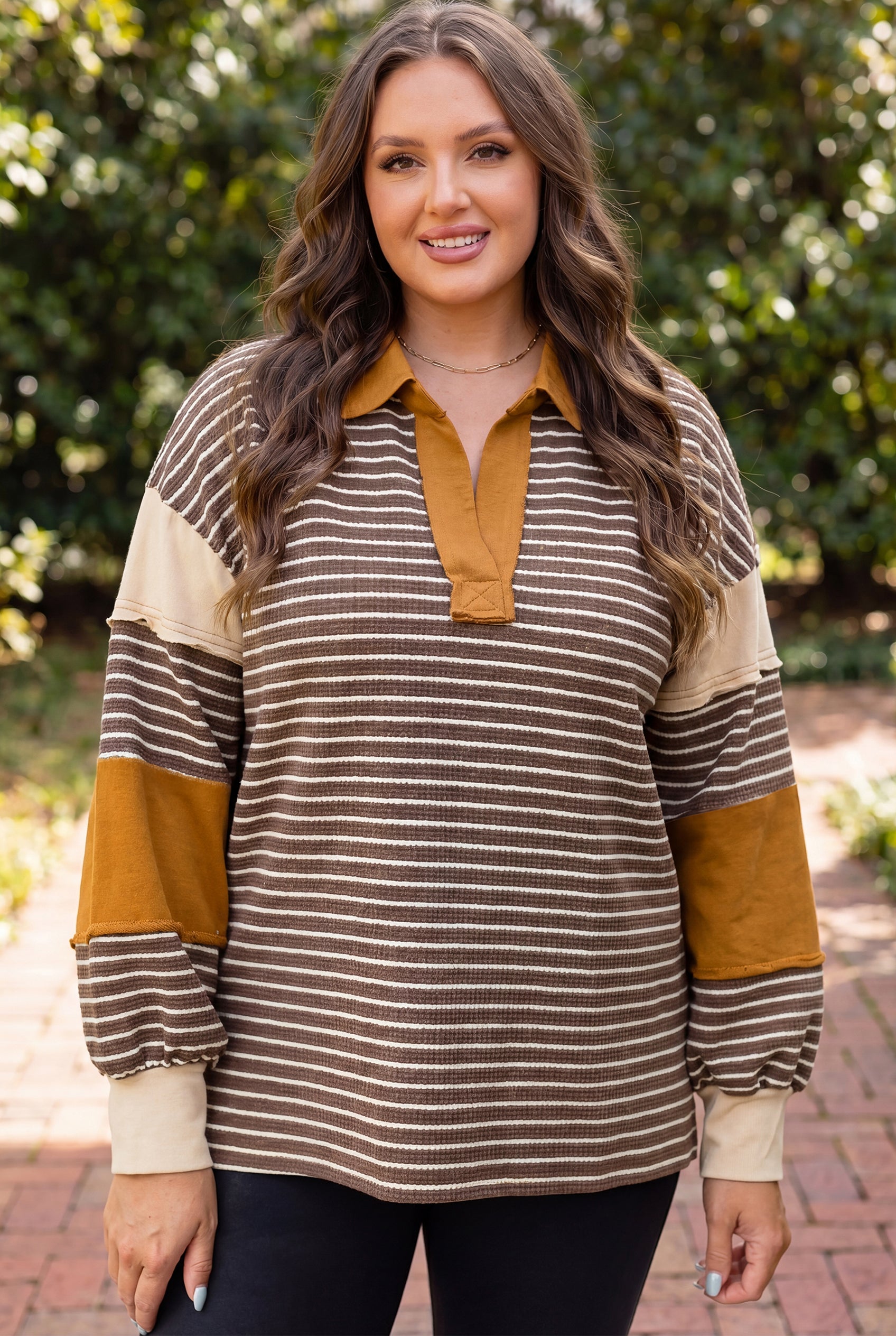 Brown Stripe Colorblock Detail Collar V Neck Plus Size Long Sleeve Top